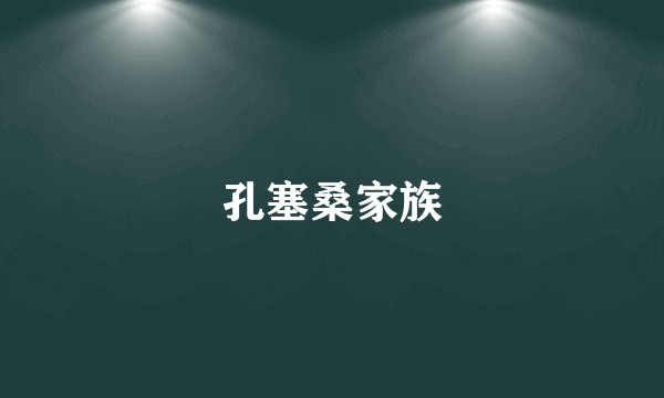 孔塞桑家族