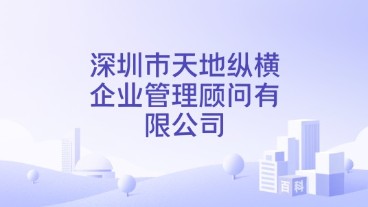 深圳市天地纵横企业管理顾问有限公司