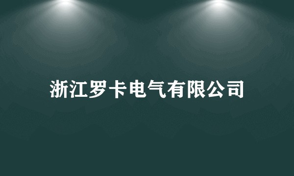 浙江罗卡电气有限公司