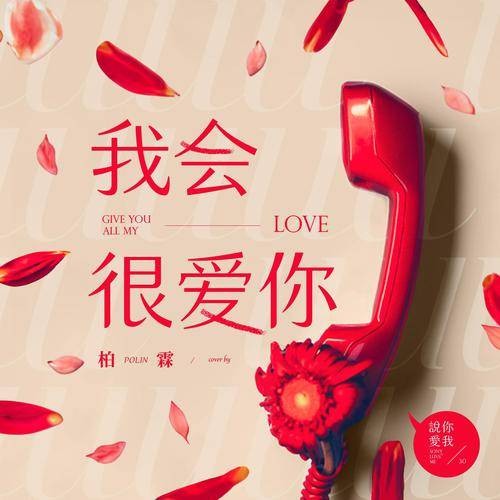 我会很爱你（柏霖PoLin演唱的歌曲）