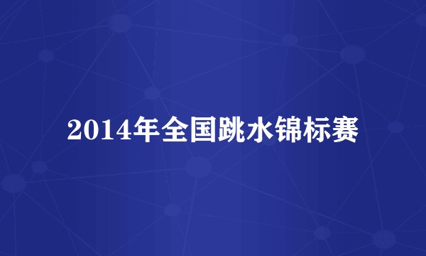 2014年全国跳水锦标赛