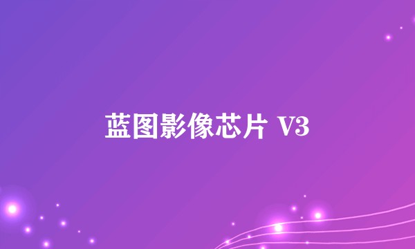 蓝图影像芯片 V3