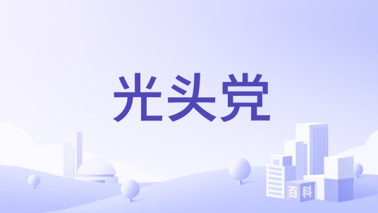 光头党（海地执政党）