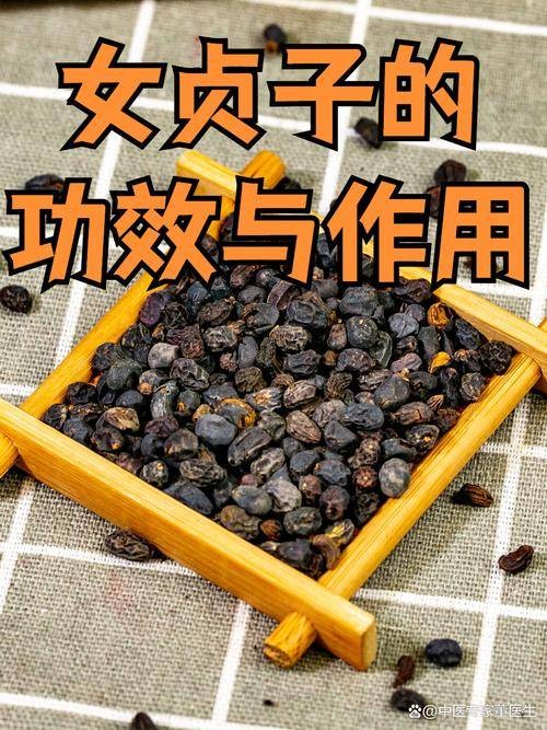 女贞子（木犀科植物女贞的干燥成熟果实）