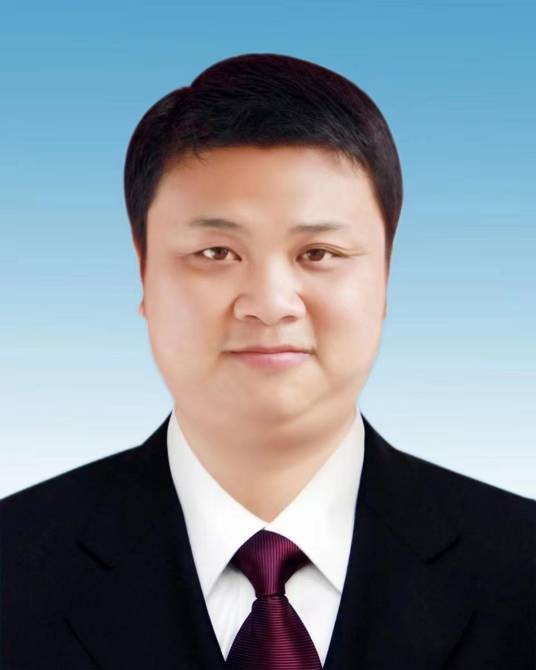 阳敏（湖南省武冈市委副书记、代理市长）
