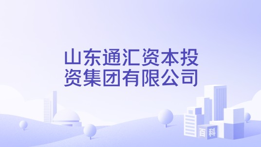 山东通汇资本投资集团有限公司