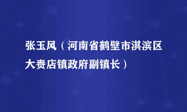 张玉风（河南省鹤壁市淇滨区大赉店镇政府副镇长）