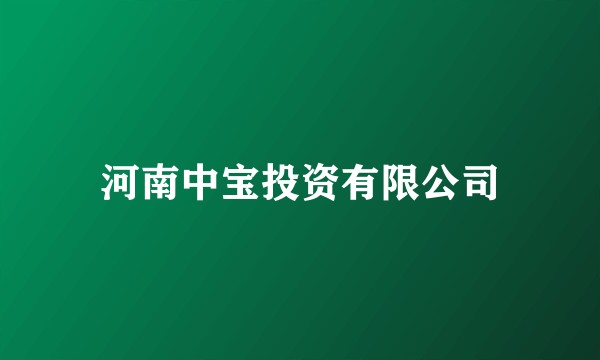 河南中宝投资有限公司