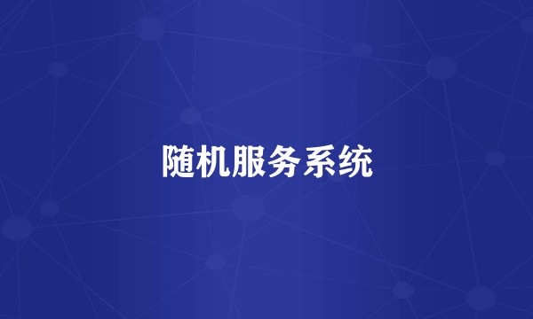 随机服务系统
