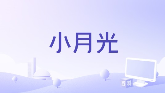 小月光（网络剧）