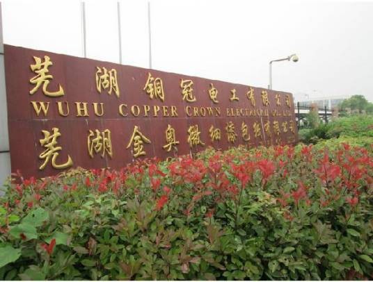 芜湖铜冠电工有限公司