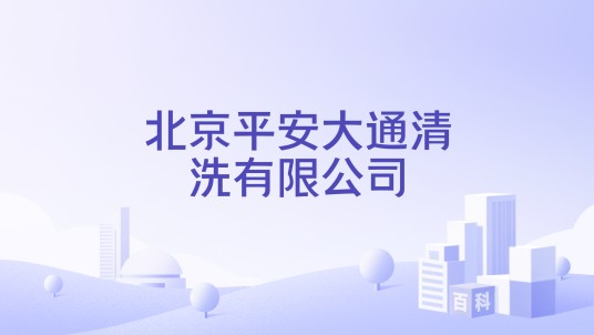 北京平安大通清洗有限公司