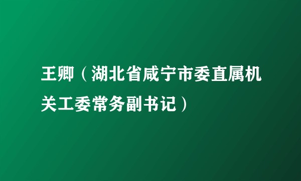 王卿（湖北省咸宁市委直属机关工委常务副书记）