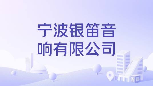宁波银笛音响有限公司