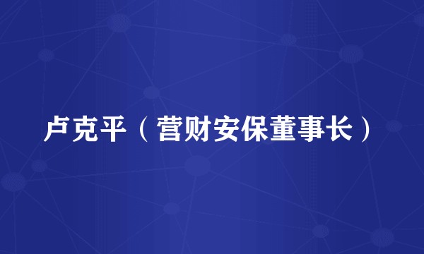 卢克平（营财安保董事长）