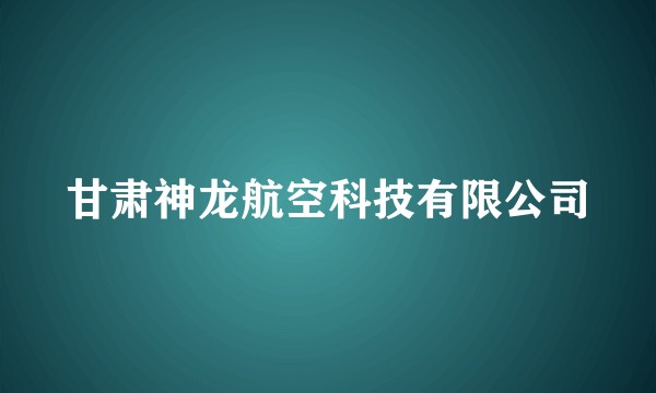 甘肃神龙航空科技有限公司