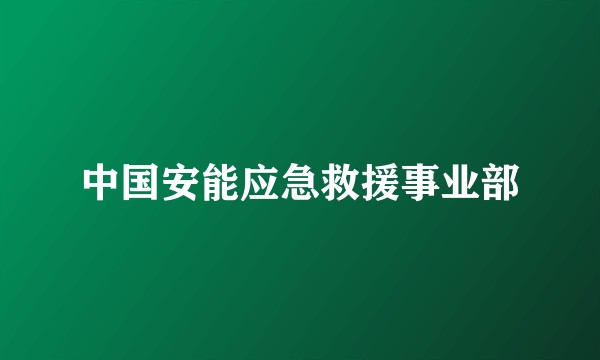 中国安能应急救援事业部
