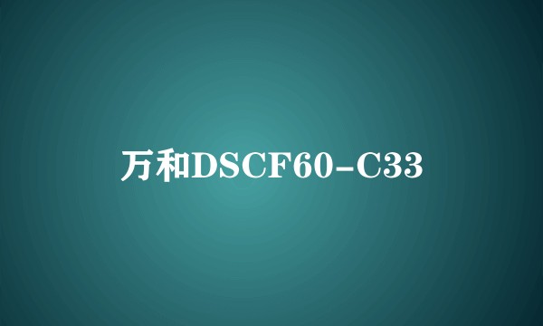 万和DSCF60-C33