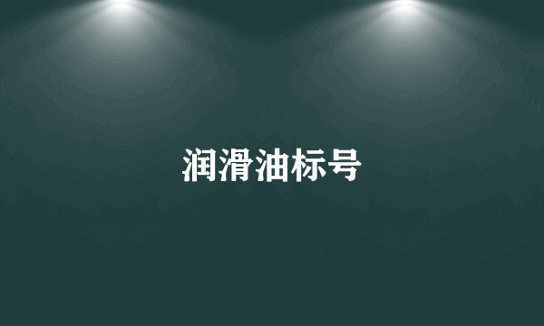 润滑油标号