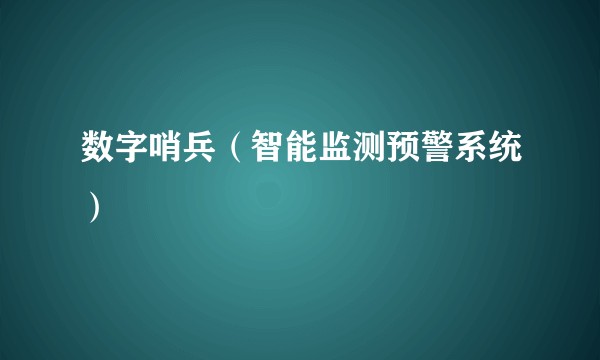 数字哨兵（智能监测预警系统）