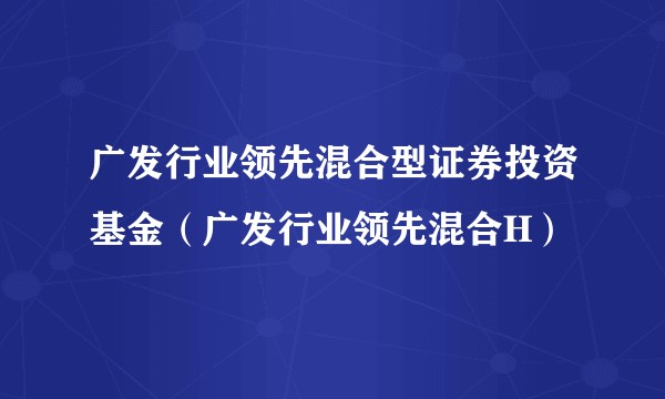 广发行业领先混合型证券投资基金（广发行业领先混合H）