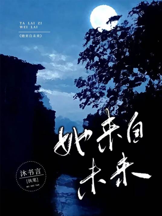 她来自未来（沐书言创作的言情科幻网络长篇小说）