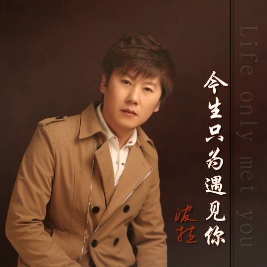 今生只为遇见你(波拉演唱歌曲)