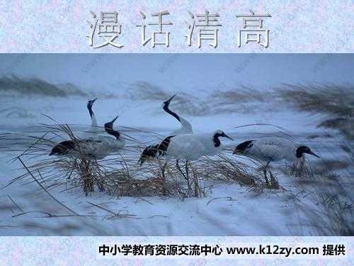 漫话清高