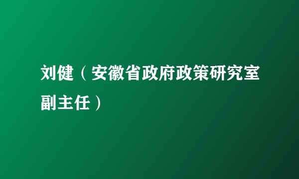 刘健（安徽省政府政策研究室副主任）