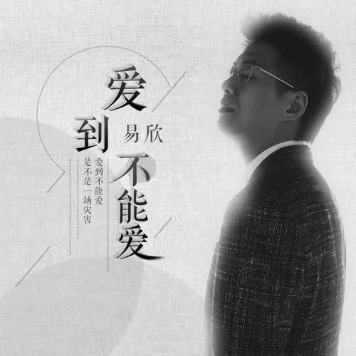 爱到不能爱（易欣演唱歌曲）