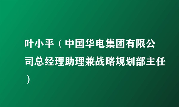 叶小平（中国华电集团有限公司总经理助理兼战略规划部主任）