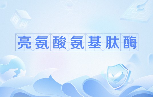 亮氨酸氨基肽酶