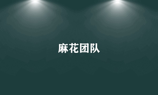 麻花团队