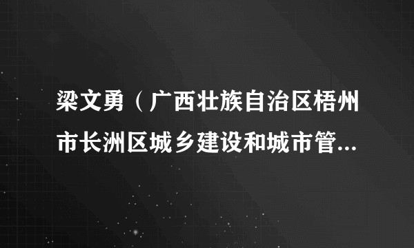 梁文勇（广西壮族自治区梧州市长洲区城乡建设和城市管理监督局党组成员、长洲区城市管理综合行政执法大队大队长）