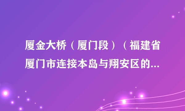 厦金大桥（厦门段）（福建省厦门市连接本岛与翔安区的跨海通道）