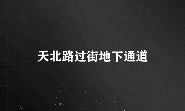 天北路过街地下通道