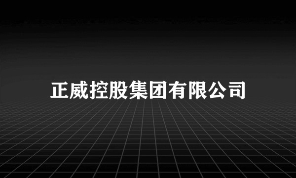 正威控股集团有限公司