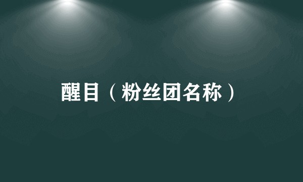 醒目（粉丝团名称）