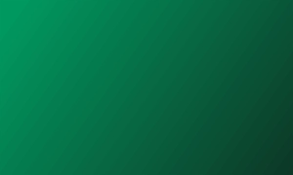 스타일 팔로우