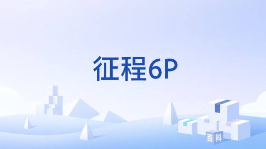 征程6P