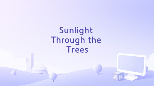 Sunlight Through the Trees