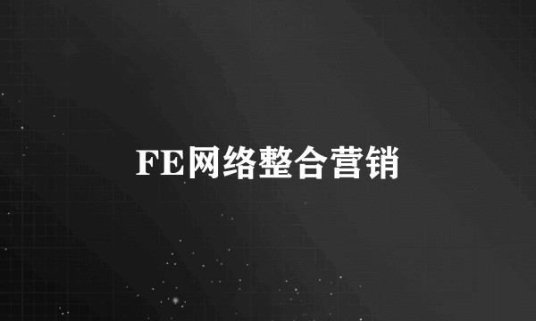 FE网络整合营销