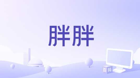 胖胖（阿超演唱歌曲）