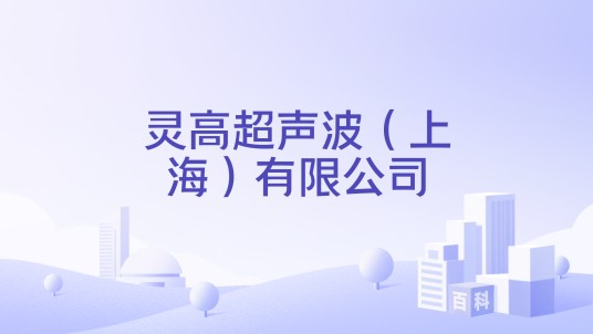 灵高超声波（上海）有限公司