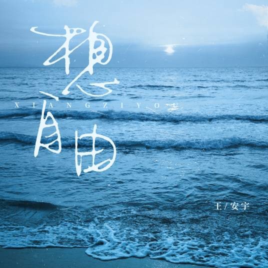 想自由（王安宇演唱的歌曲）