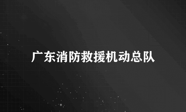 广东消防救援机动总队