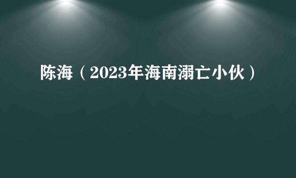 陈海(2023年海南溺亡小伙)