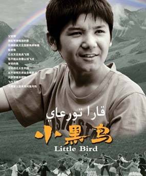 小黑鸟（2011年夏孟执导的剧情、儿童故事电影）