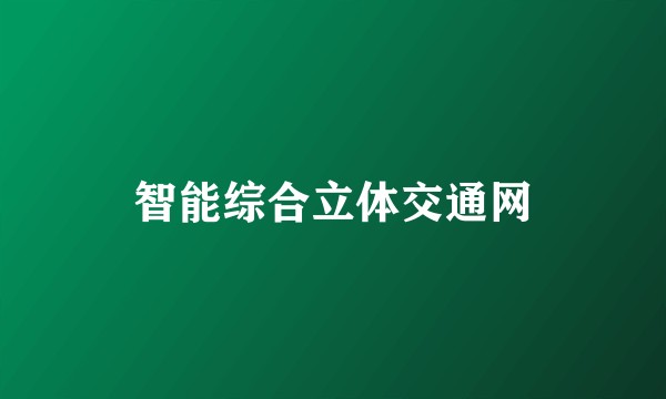 智能综合立体交通网