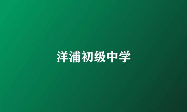 洋浦初级中学